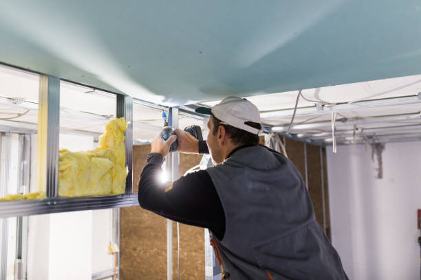 Best Insulation Contractor Near Me  in Prairie Grove, IL