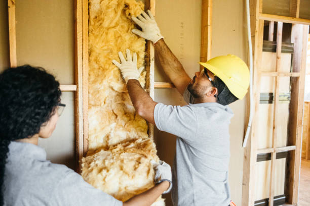 Best Insulation Replacement Services  in Prairie Grove, IL